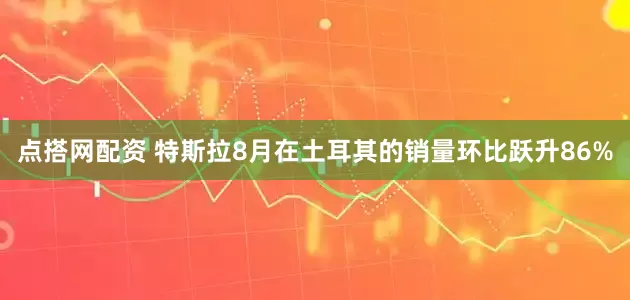 点搭网配资 特斯拉8月在土耳其的销量环比跃升86%