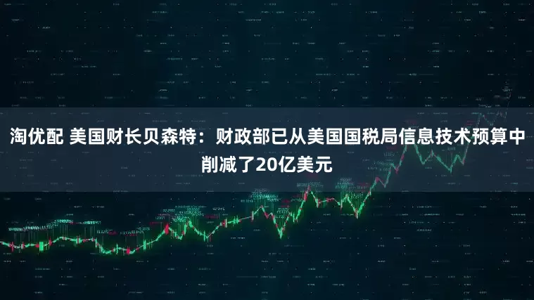 淘优配 美国财长贝森特：财政部已从美国国税局信息技术预算中削减了20亿美元